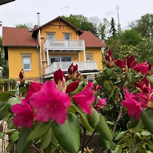 Casa Casimir Mit Elbblick, Balkon Und Grossen Garten Apartment Dresden